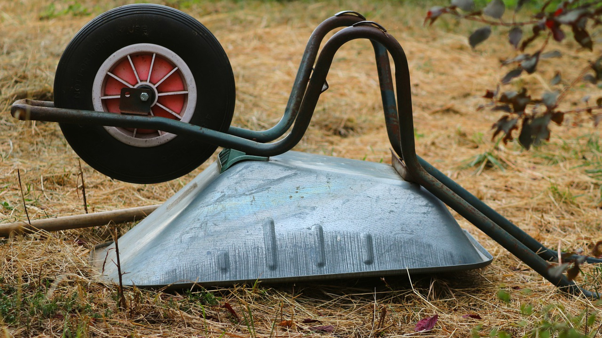 Faites appel à un spécialiste de la vente de roues 