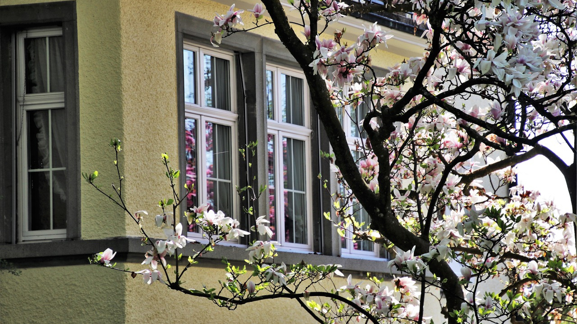 Comment bien choisir une porte-fenêtre ?