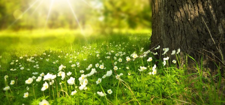 La commune Saint Céneri le Gérei vous attend pour les vacances ! La commune Saint Céneri le Gérei vous attend pour les vacances !