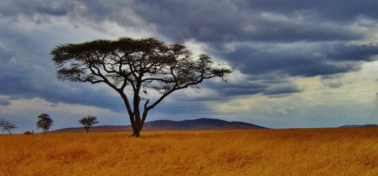 La Tanzanie vous ouvre ses portes si vous avez un e-visa La Tanzanie vous ouvre ses portes si vous avez un e-visa