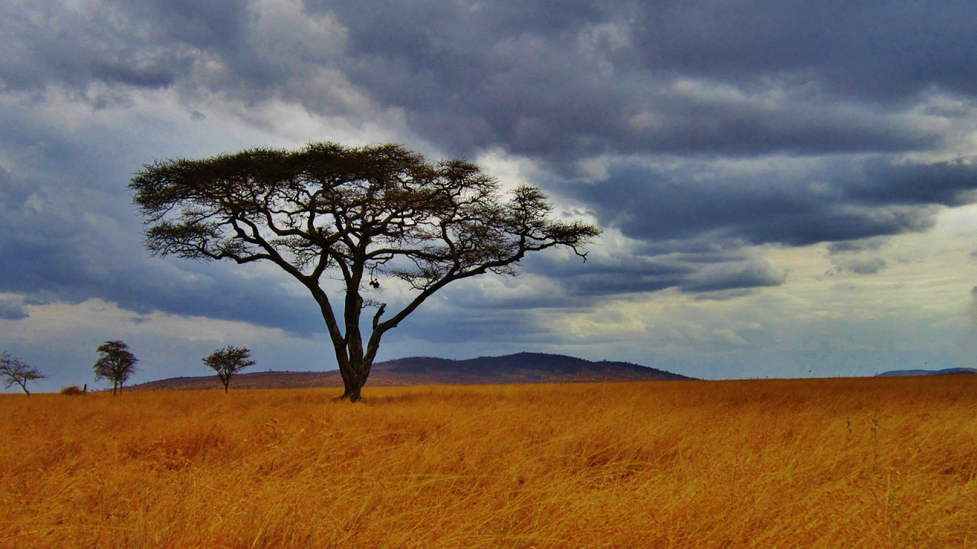 La Tanzanie vous ouvre ses portes si vous avez un e-visa