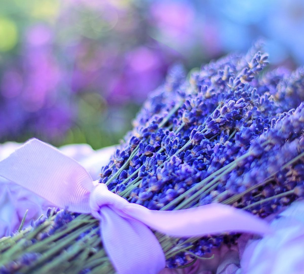 Bouquet champêtre : quelles fleurs pour un mariage bohème ?