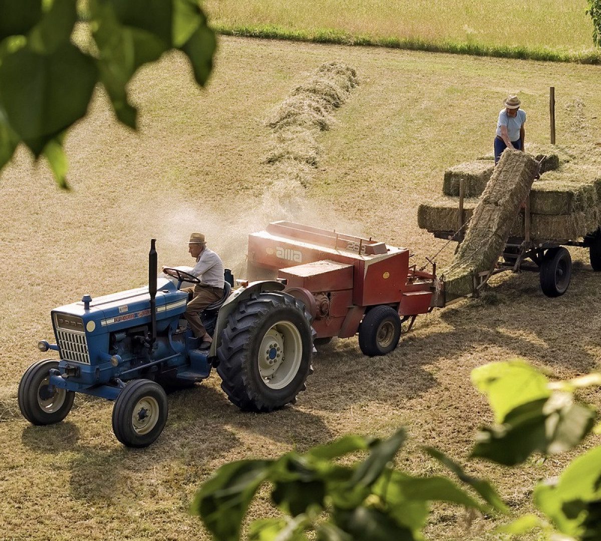 Agriculteurs : dénichez les pièces détachées et les accessoires adéquats grâce au web