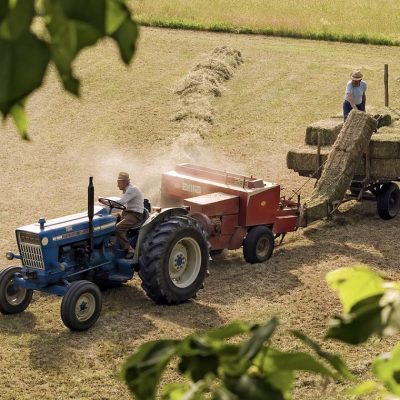 Agriculteurs : dénichez les pièces détachées et les accessoires adéquats grâce au web