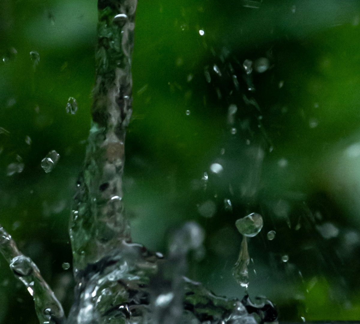 Combattez la sécheresse en investissant dans des cuves de récupération d'eau de pluie !