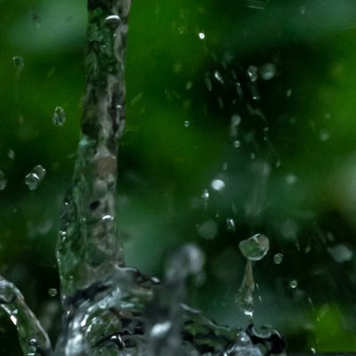 Combattez la sécheresse en investissant dans des cuves de récupération d'eau de pluie !
