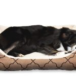 Comment choisir un panier pour chien et en faire un bel objet de décoration ?