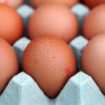 L'aviculture, cette poule aux oeufs d'or qui débarque en Afrique