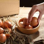 Comment savoir si des oeufs sont encore bons