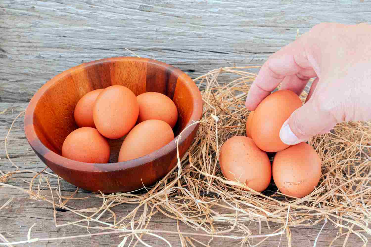 Comment savoir si des oeufs sont encore bons