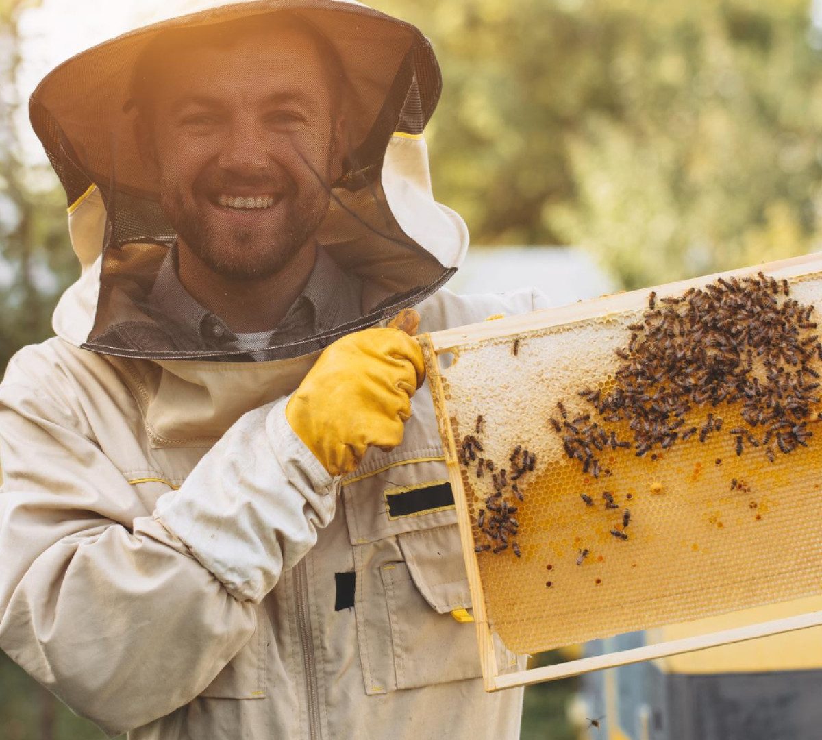Débuter en apiculture : quel matériel faut-il acheter pour bien s’équiper ?
