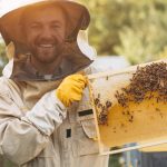 Débuter en apiculture : quel matériel faut-il acheter pour bien s’équiper ?